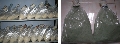 Hướng dẫn quy trình sản xuất Nấm xanh metarhizium anisopliae tại huyện Cần Giờ