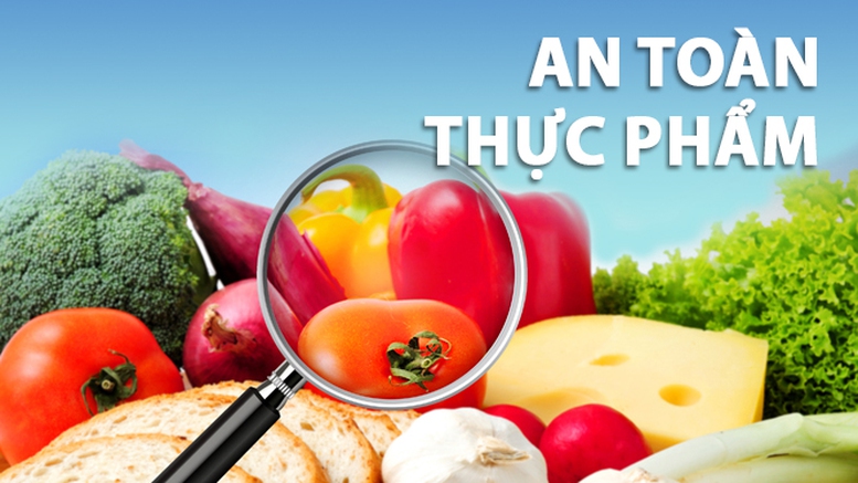 xử lý hồ sơ kiểm tra ATTP đối với thực phẩm có nguồn gốc thực vật nhập khẩu