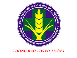 Tình hình sinh vật hại cây trồng đến ngày 07/01/2020