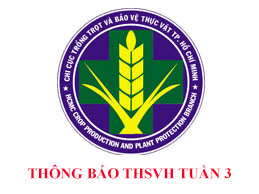 Tình hình sinh vật hại cây trồng đến ngày 14/01/2020